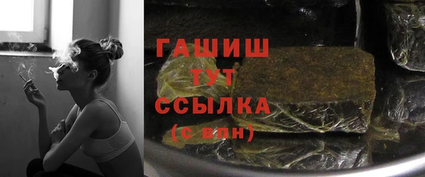 гидра Братск