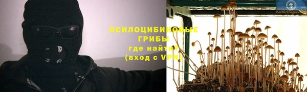 каннабис Великий Новгород