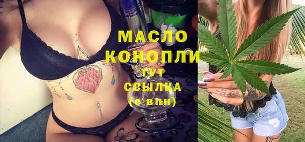 гидра Братск