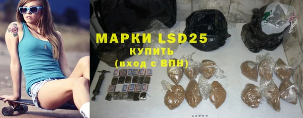 гидра Братск