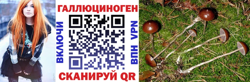 Псилоцибиновые грибы мицелий  как найти   Алапаевск 