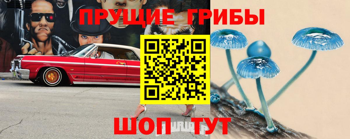 Алапаевск  Галлюциногенные грибы Magic Shrooms  Вход с VPN 